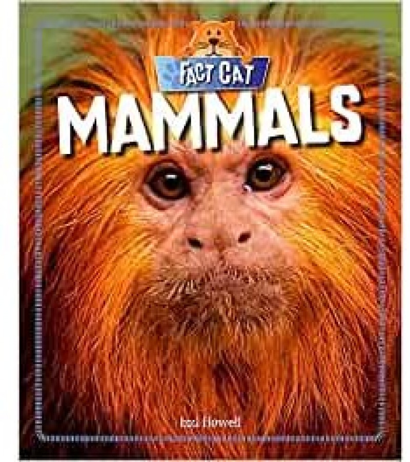 Mammals Fact Cat Animals - Sale price - Buy online in Pakistan - Farosh.pk